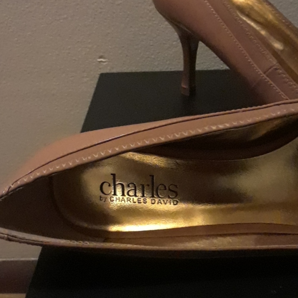 pumps - Picture 3 of 4
